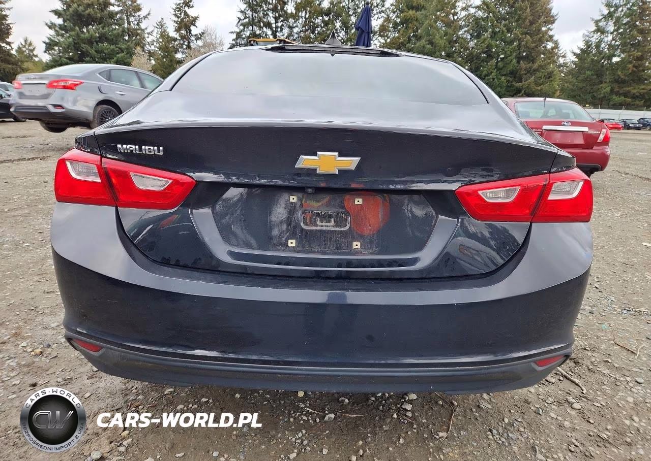 2019 Chevrolet Malibu Ls VIN:1G1ZB5ST6KF223755 - 6