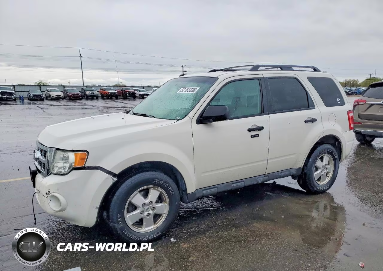 2011 Ford Escape Xlt VIN:1FMCU9D77BKB67665 - 1
