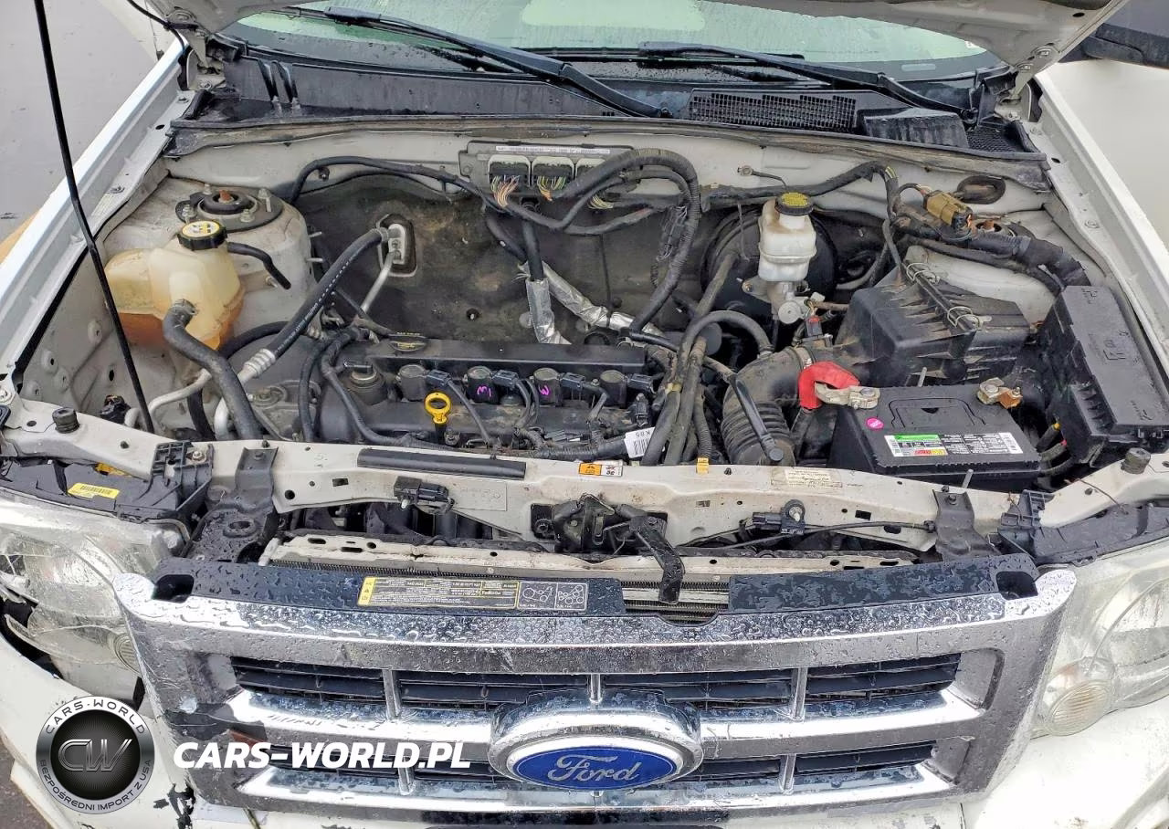 2011 Ford Escape Xlt VIN:1FMCU9D77BKB67665 - 12