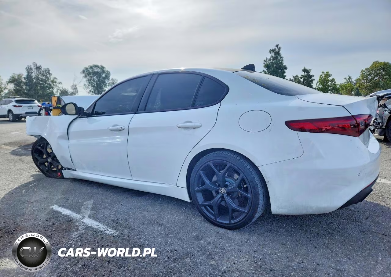 2020 Alfa Romeo Giulia VIN:ZARFAMAN0L7632216 - 2
