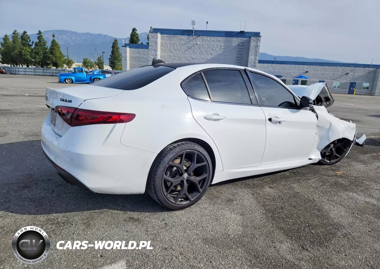 2020 Alfa Romeo Giulia VIN:ZARFAMAN0L7632216 - 3