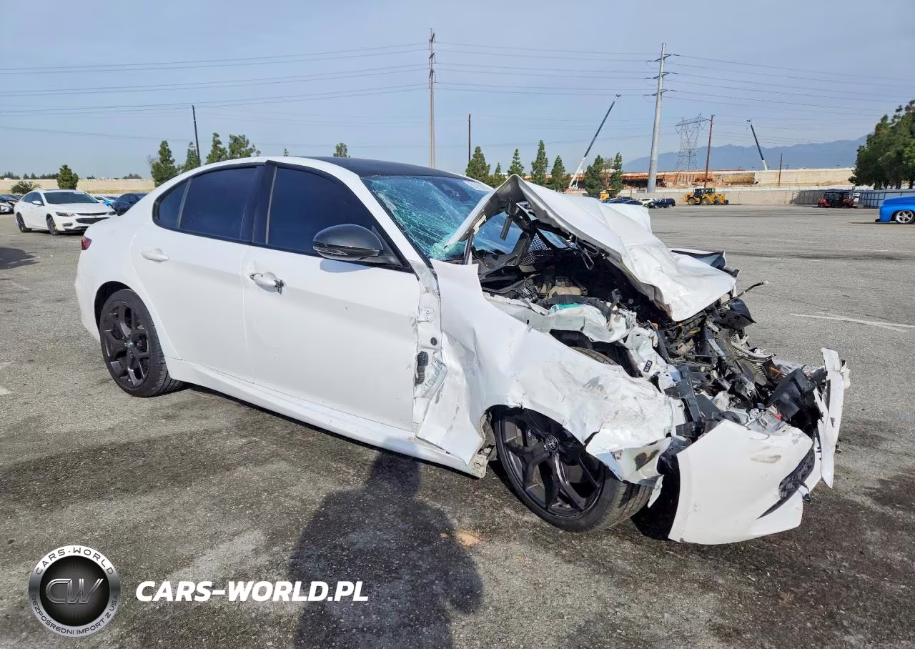 2020 Alfa Romeo Giulia VIN:ZARFAMAN0L7632216 - 4