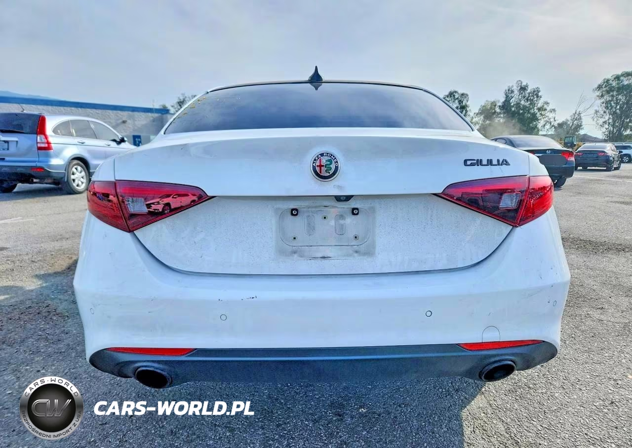 2020 Alfa Romeo Giulia VIN:ZARFAMAN0L7632216 - 6