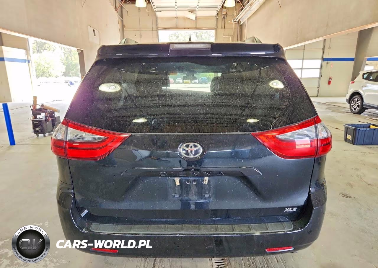 2020 Toyota Sienna Xle 8-Passenger VIN:5TDYZ3DC9LS054557 - 6