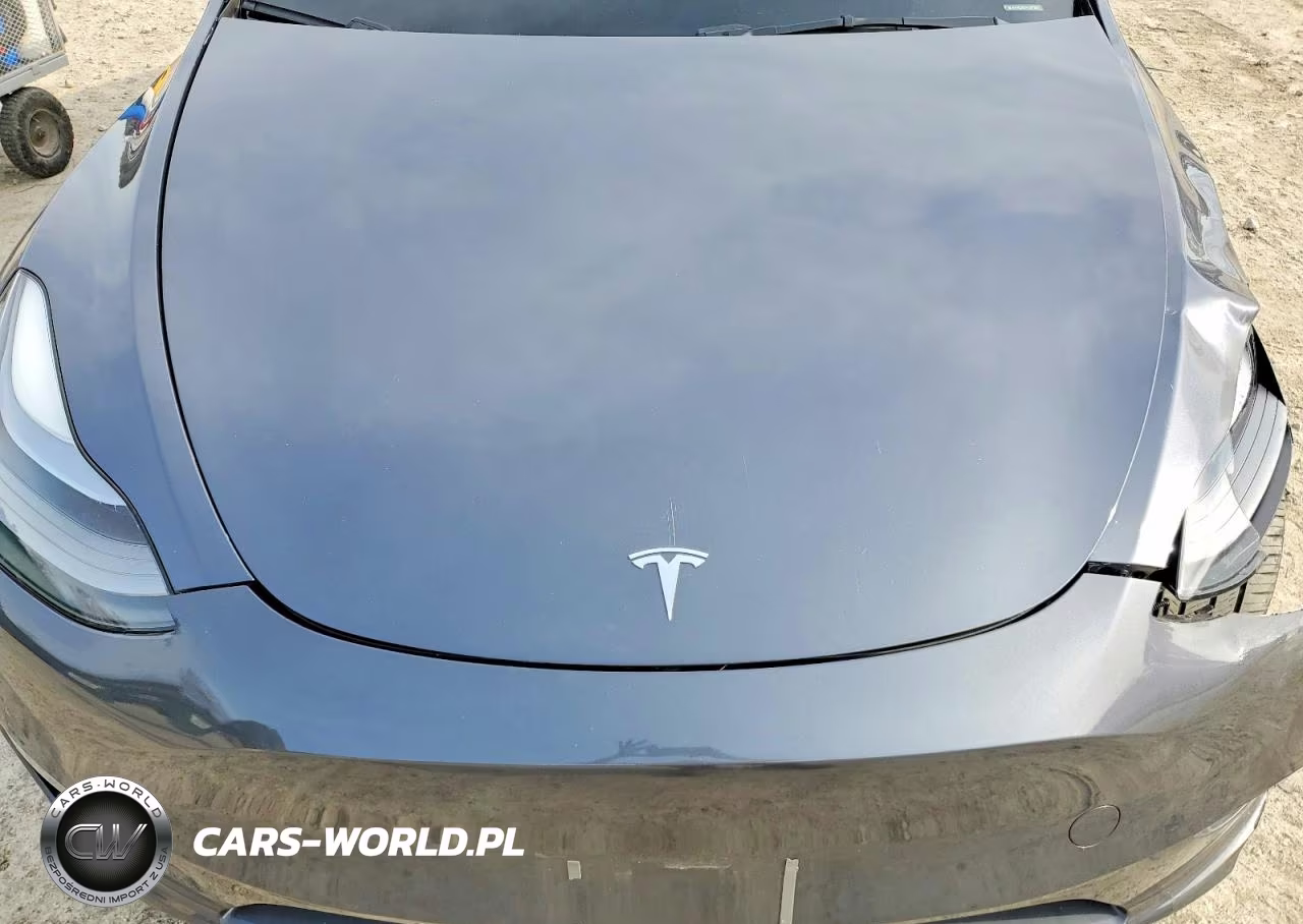 2023 Tesla Model Y VIN:7SAYGDEE7PA207894 - 12