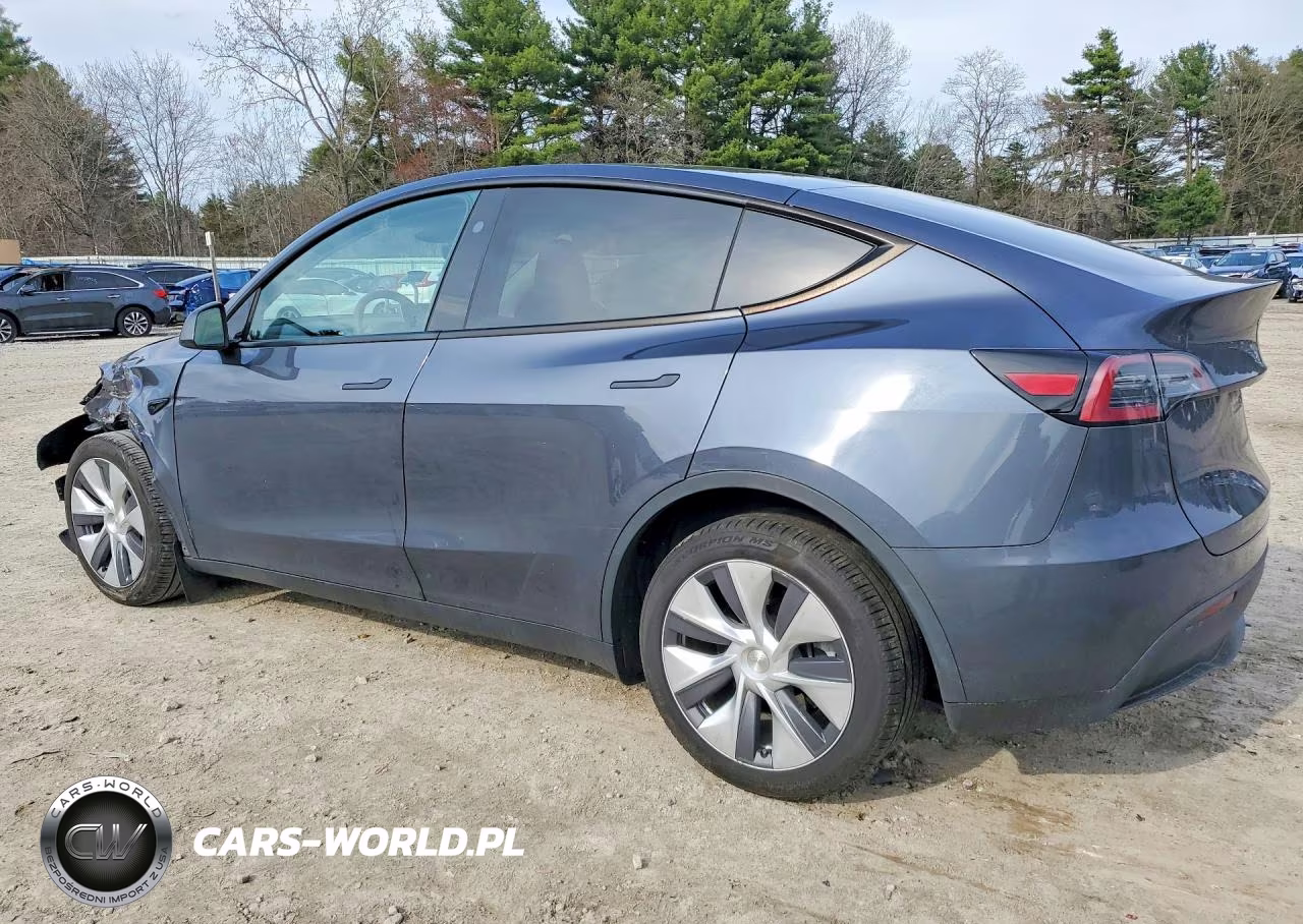 2023 Tesla Model Y VIN:7SAYGDEE7PA207894 - 2