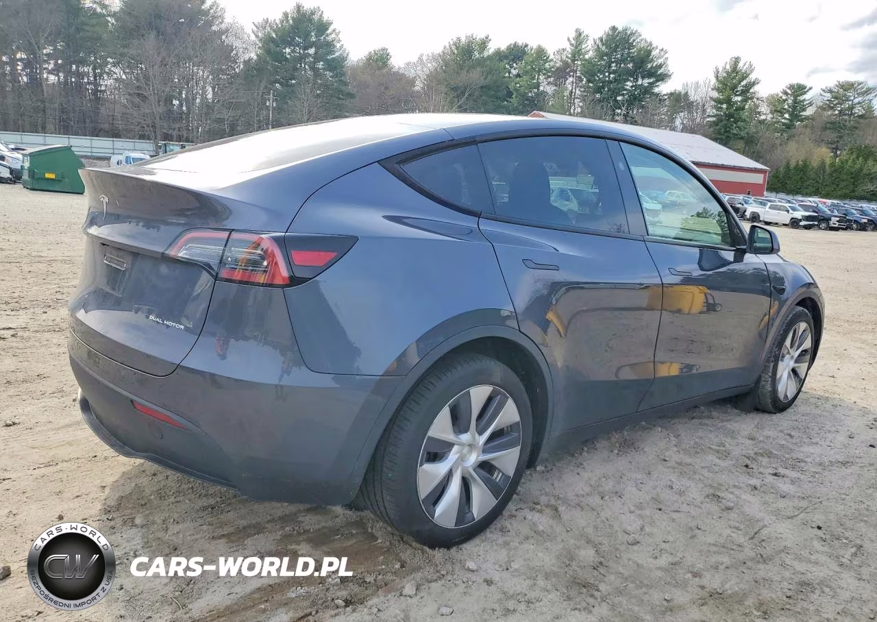 2023 Tesla Model Y VIN:7SAYGDEE7PA207894 - 3