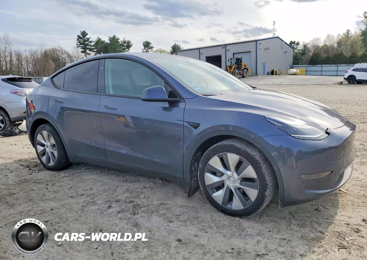 2023 Tesla Model Y VIN:7SAYGDEE7PA207894 - 4