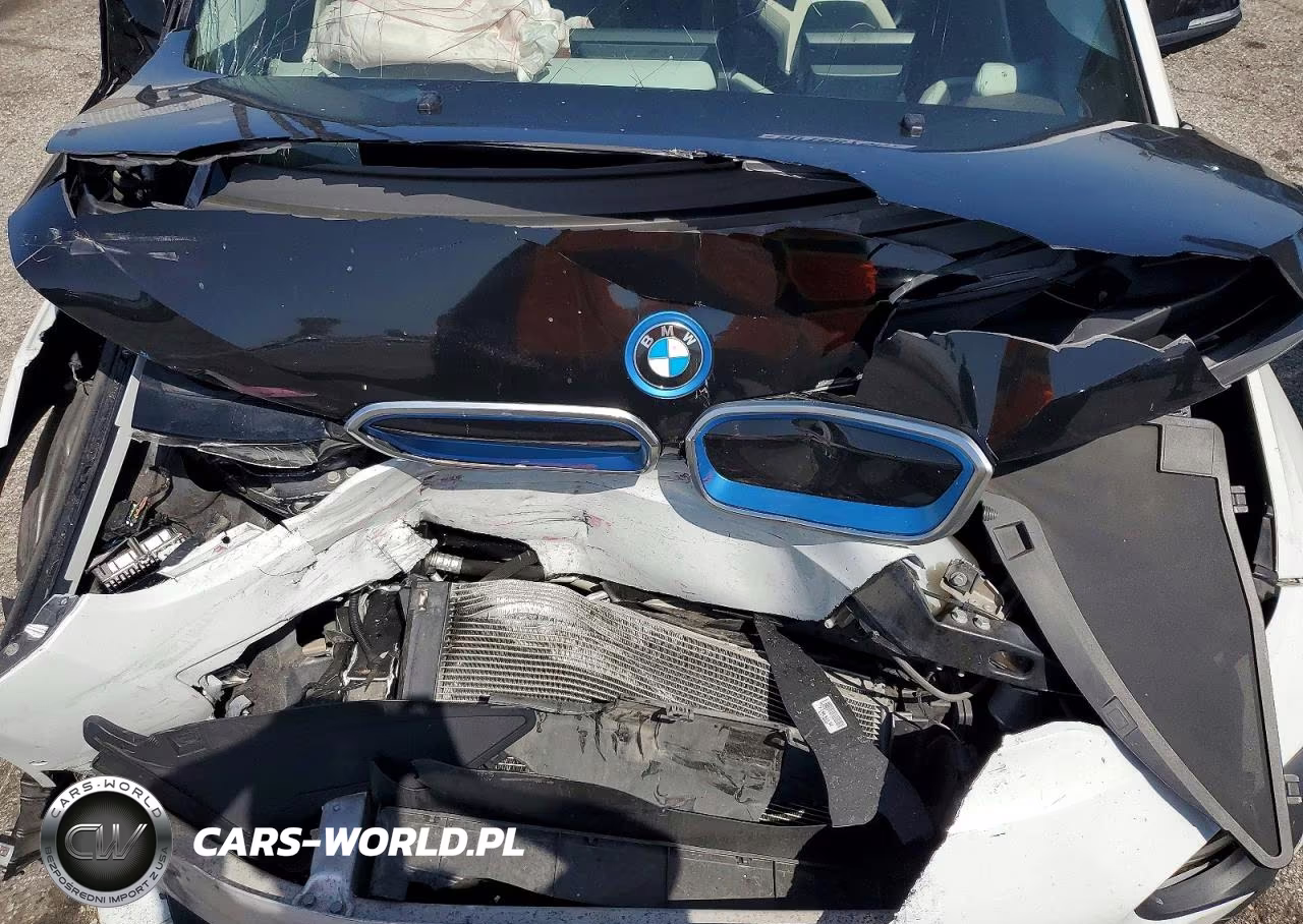 2016 BMW I3 Rex VIN:WBY1Z4C57GV505604 - 11