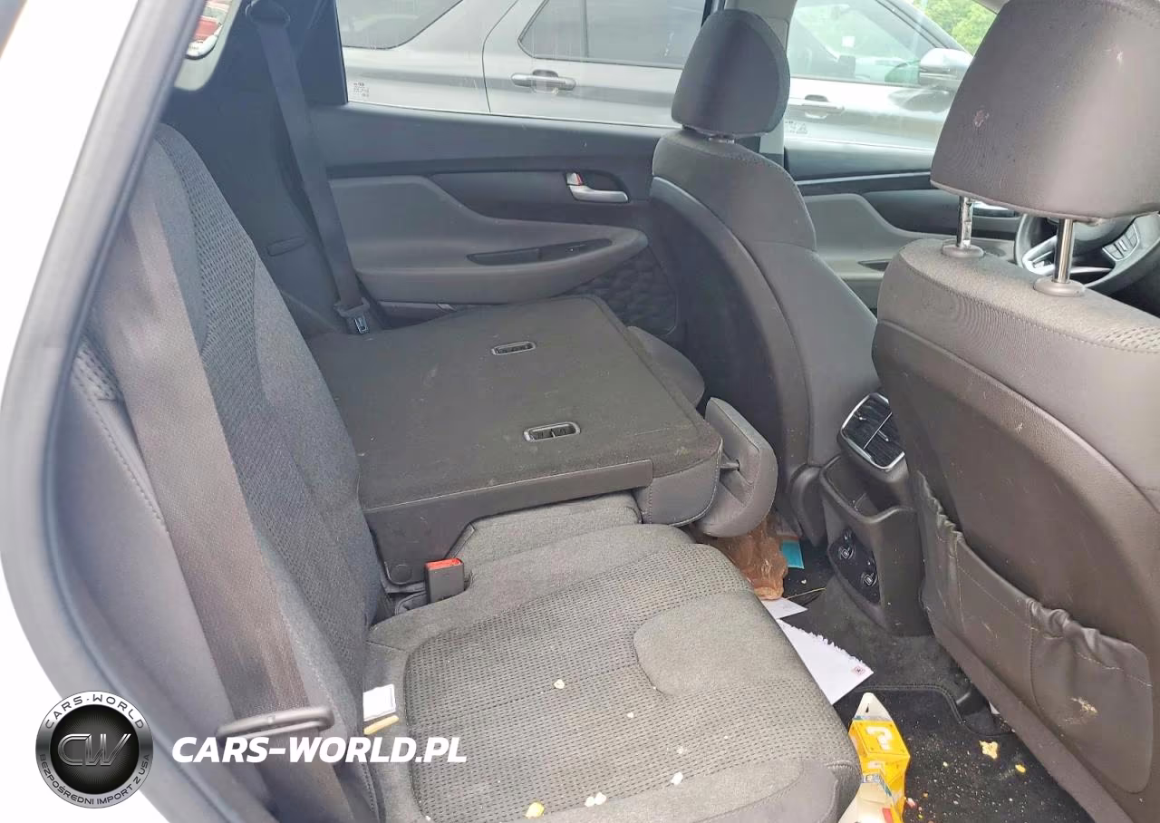 2020 Hyundai Santa Fe Sel VIN:5NMS3CAD4LH169607 - 10