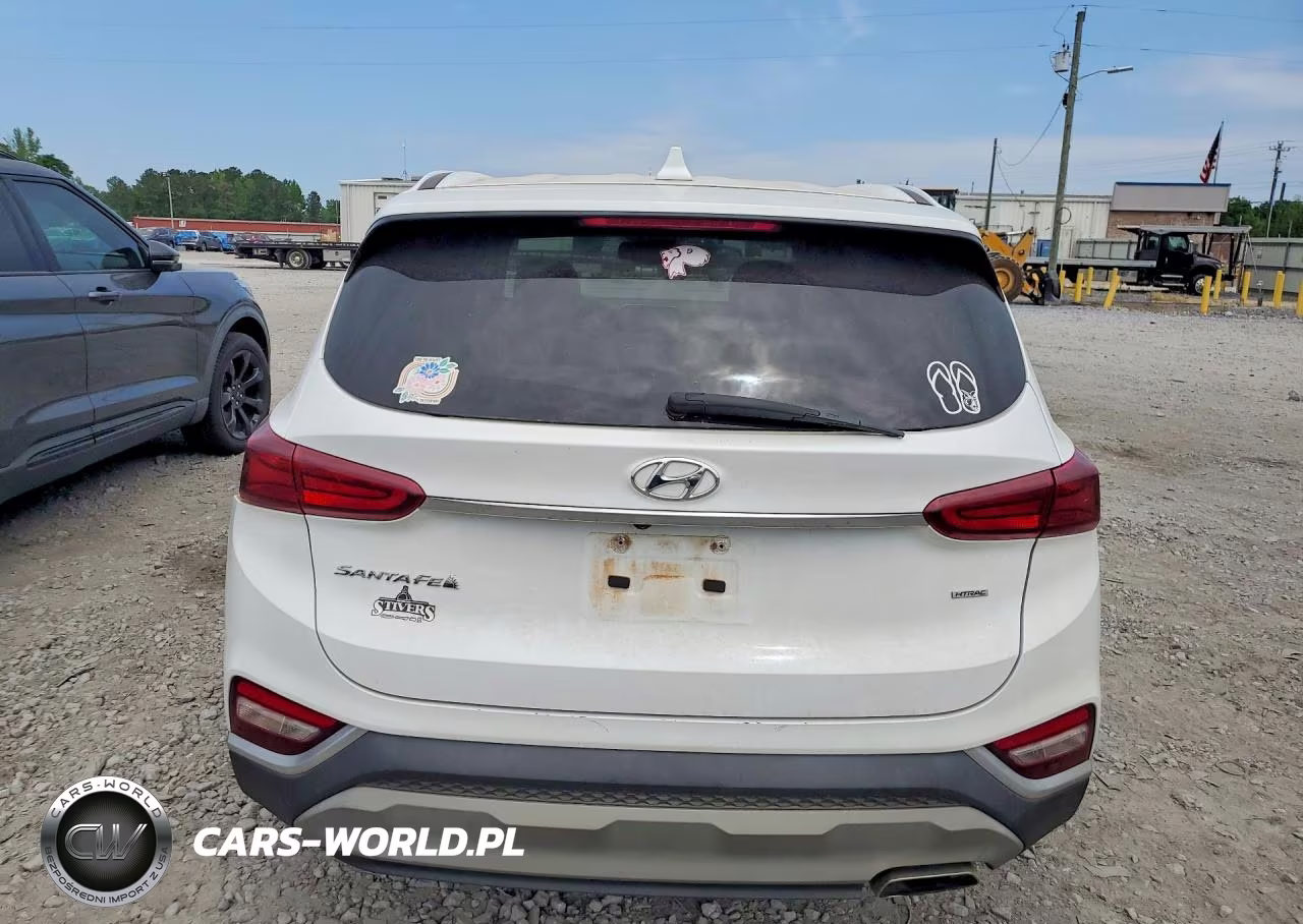 2020 Hyundai Santa Fe Sel VIN:5NMS3CAD4LH169607 - 6