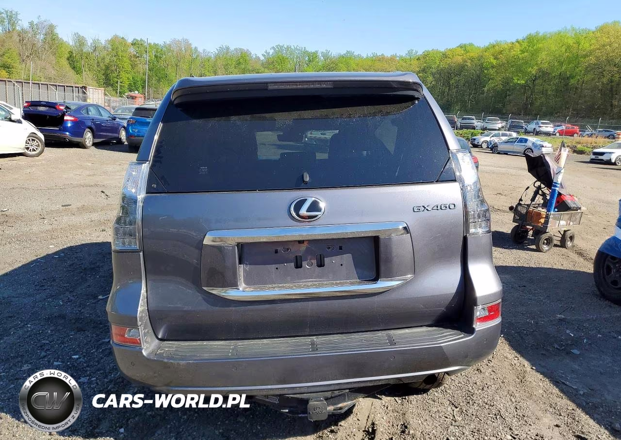2023 Lexus Gx 460 VIN:JTJAM7BX6P5373906 - 6