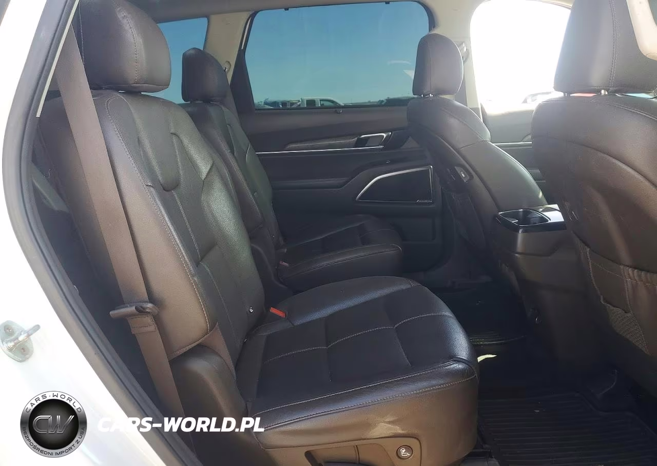 2020 Kia Telluride Sx VIN:5XYP5DHC2LG065145 - 10