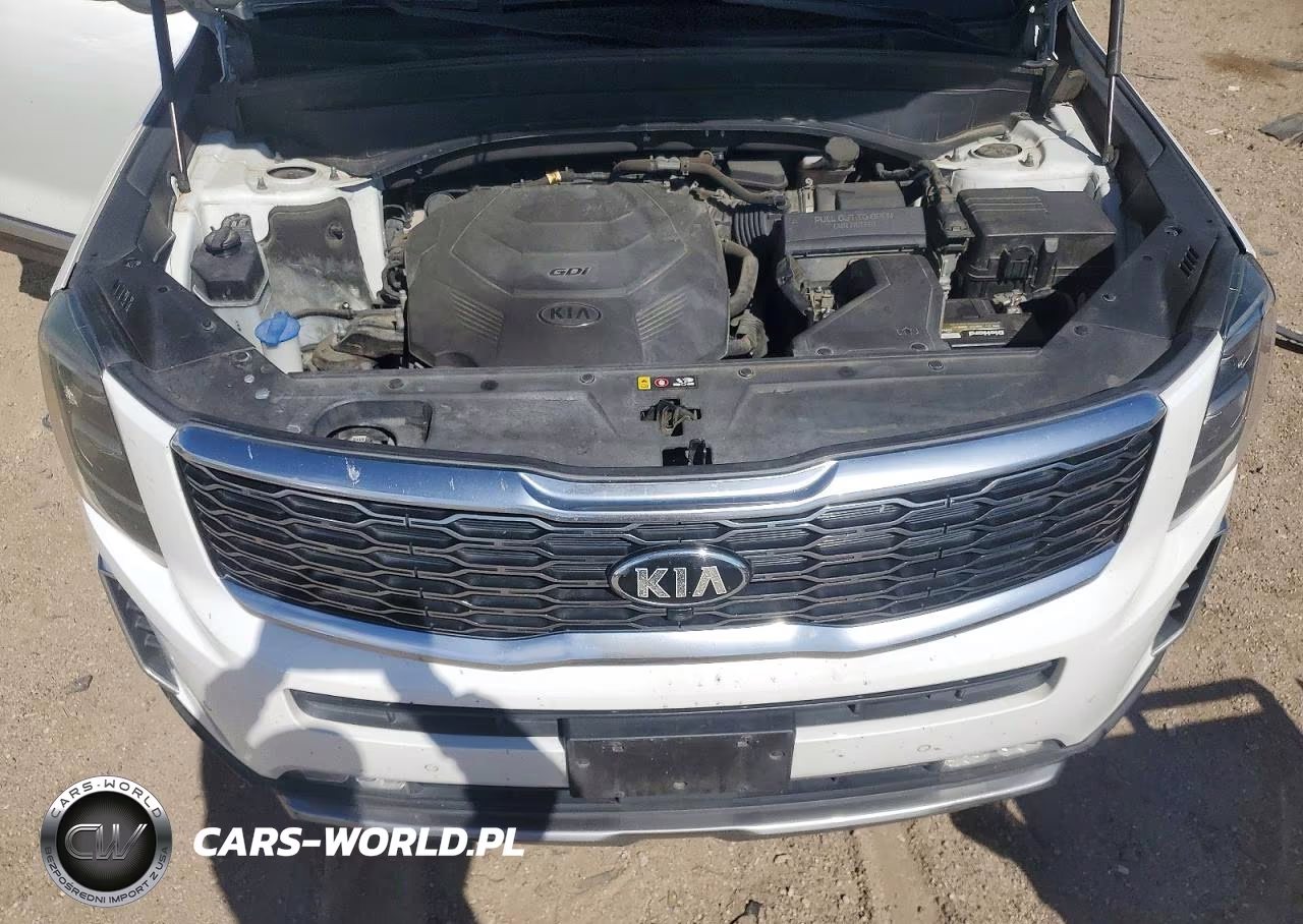 2020 Kia Telluride Sx VIN:5XYP5DHC2LG065145 - 11