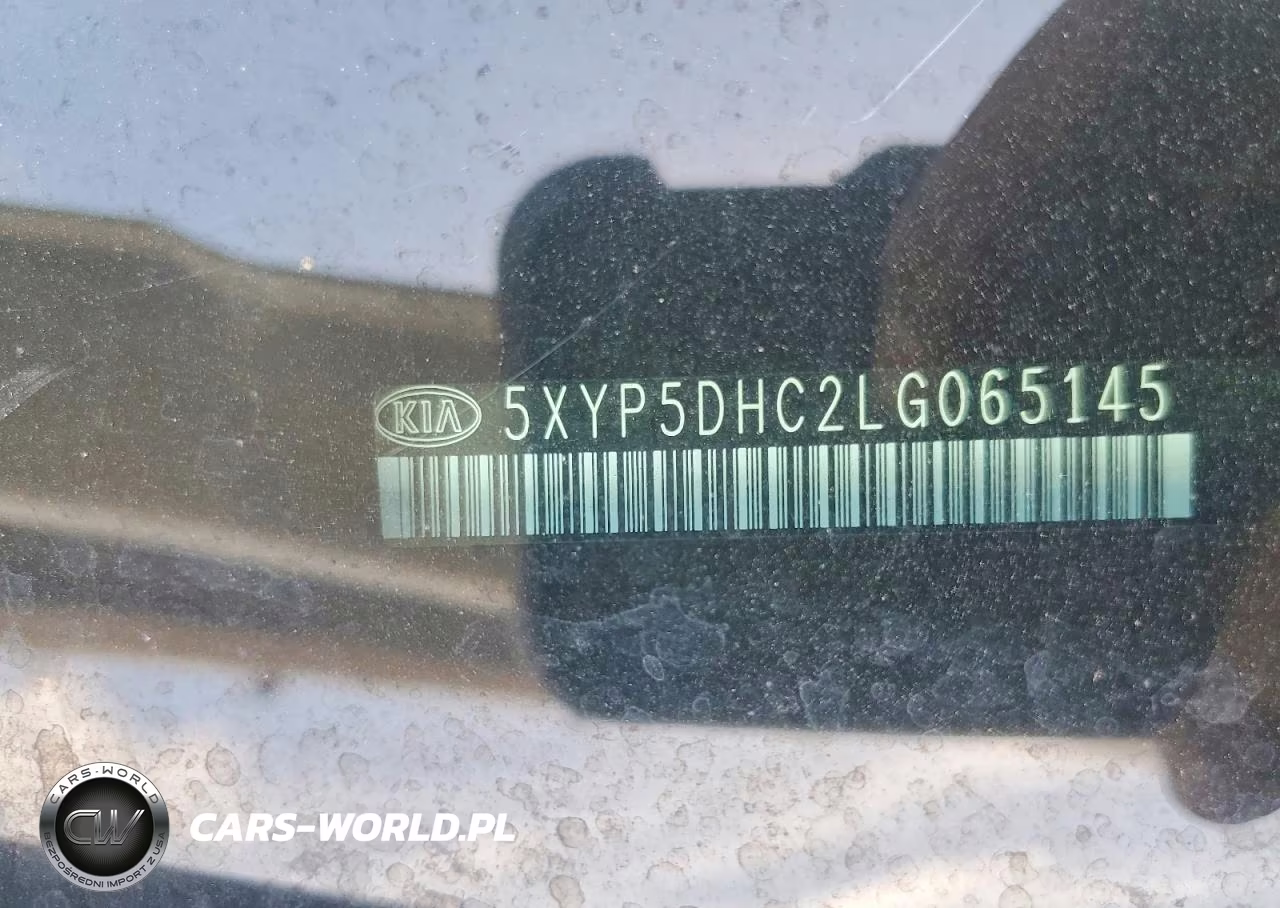 2020 Kia Telluride Sx VIN:5XYP5DHC2LG065145 - 12