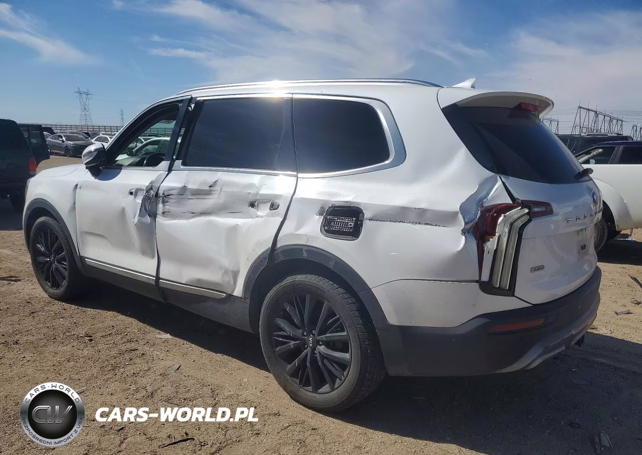 2020 Kia Telluride Sx VIN:5XYP5DHC2LG065145 - 2