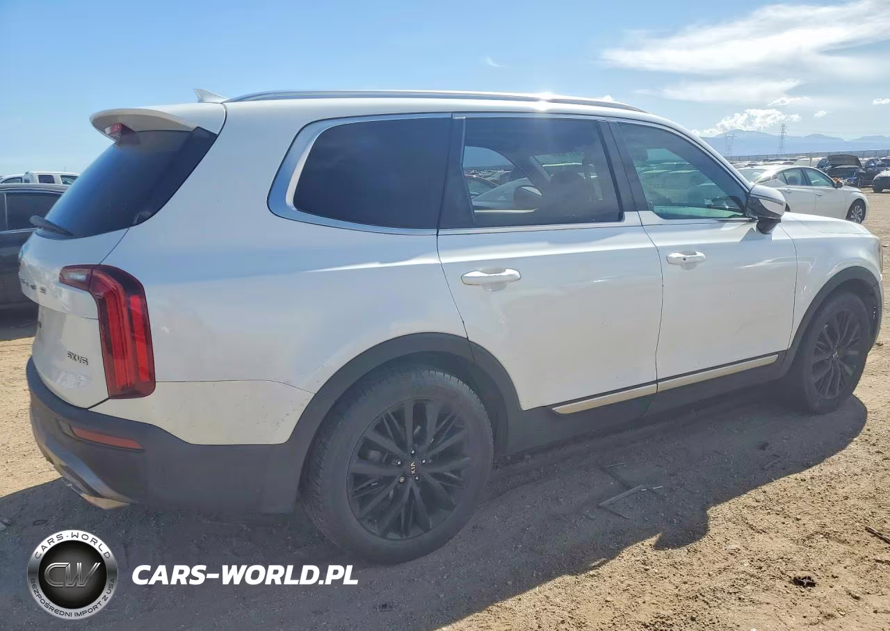 2020 Kia Telluride Sx VIN:5XYP5DHC2LG065145 - 3