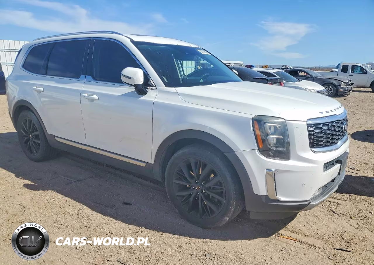 2020 Kia Telluride Sx VIN:5XYP5DHC2LG065145 - 4