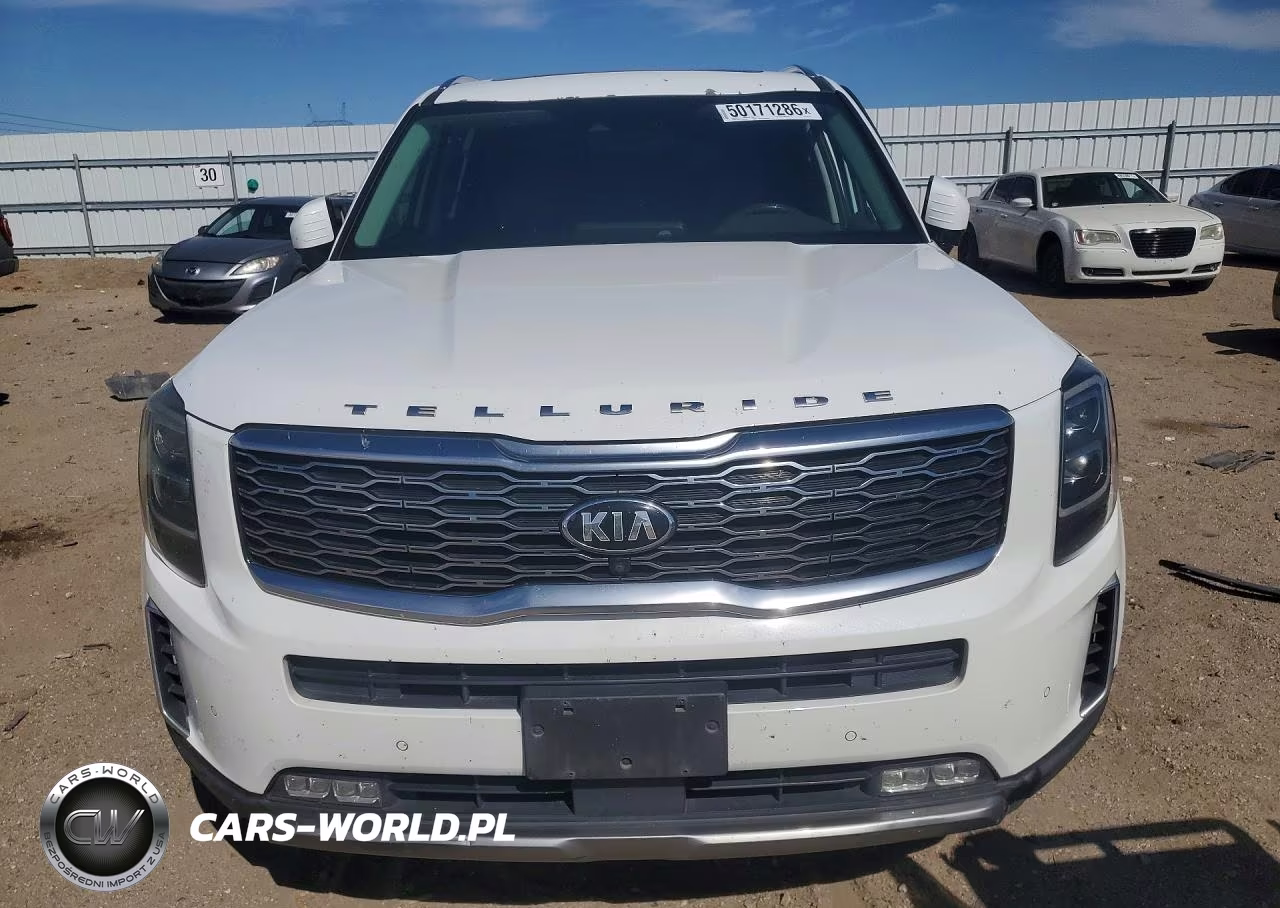 2020 Kia Telluride Sx VIN:5XYP5DHC2LG065145 - 5