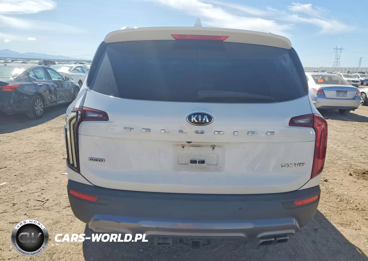 2020 Kia Telluride Sx VIN:5XYP5DHC2LG065145 - 6