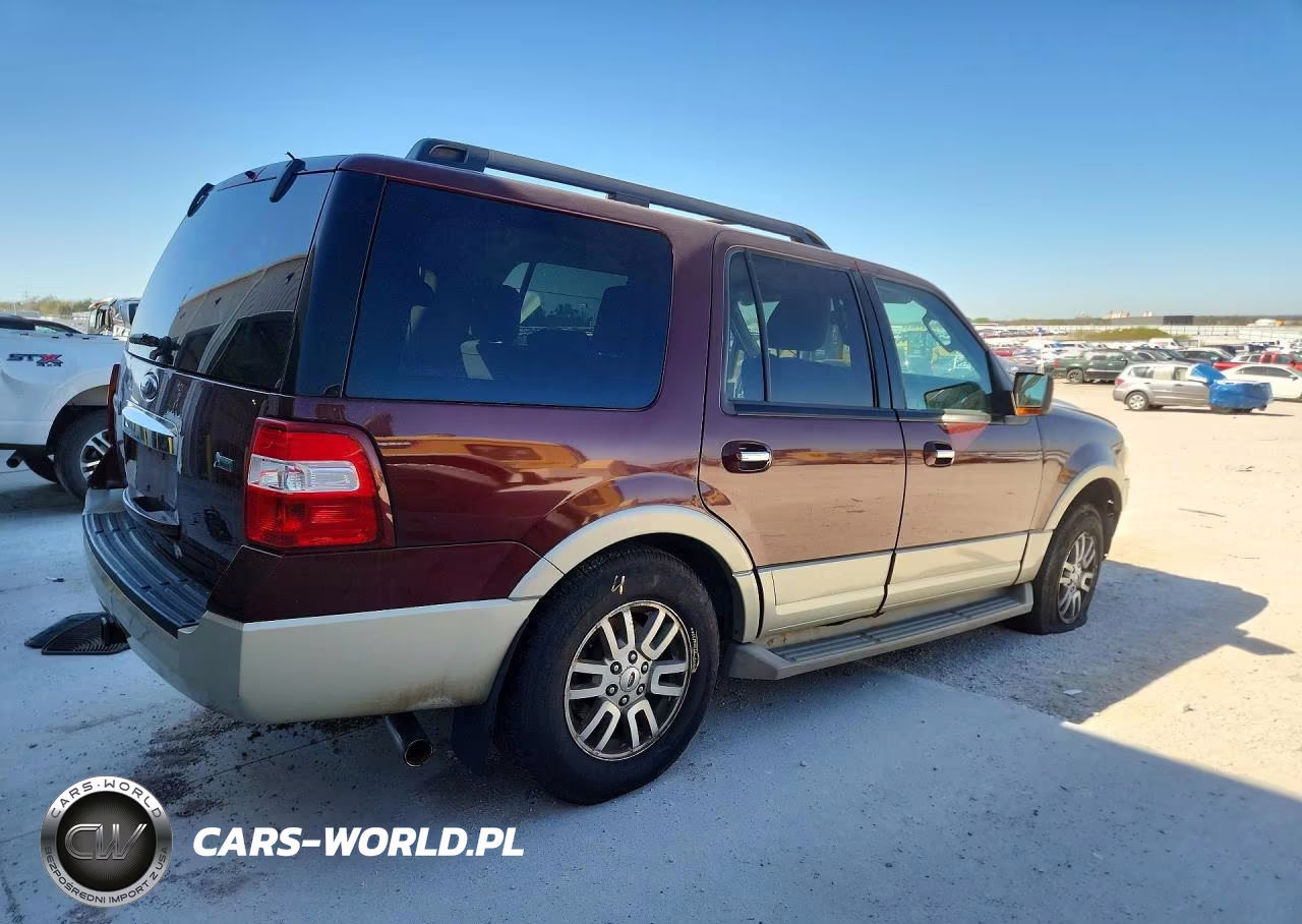 2010 Ford Expedition Eddie Bauer VIN:1FMJU1J54AEB57037 - 3