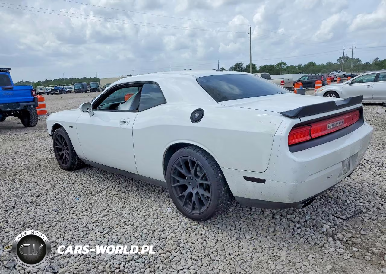 2010 Dodge Challenger R-T VIN:2B3CJ5DT6AH264866 - 2
