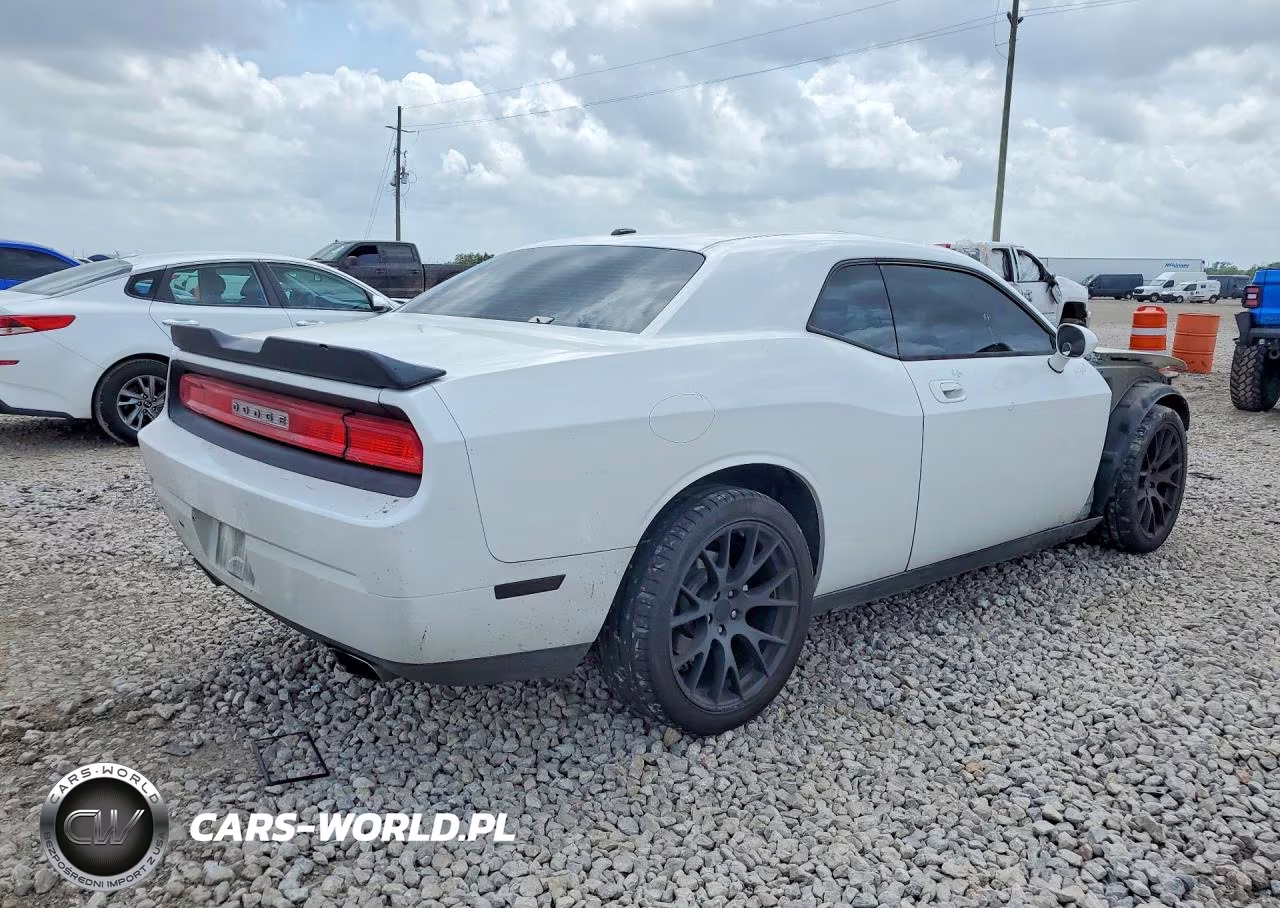 2010 Dodge Challenger R-T VIN:2B3CJ5DT6AH264866 - 3