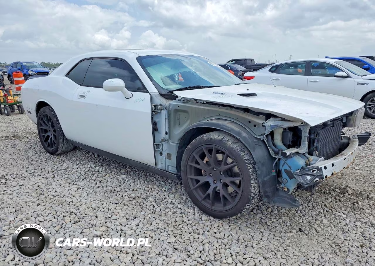 2010 Dodge Challenger R-T VIN:2B3CJ5DT6AH264866 - 4