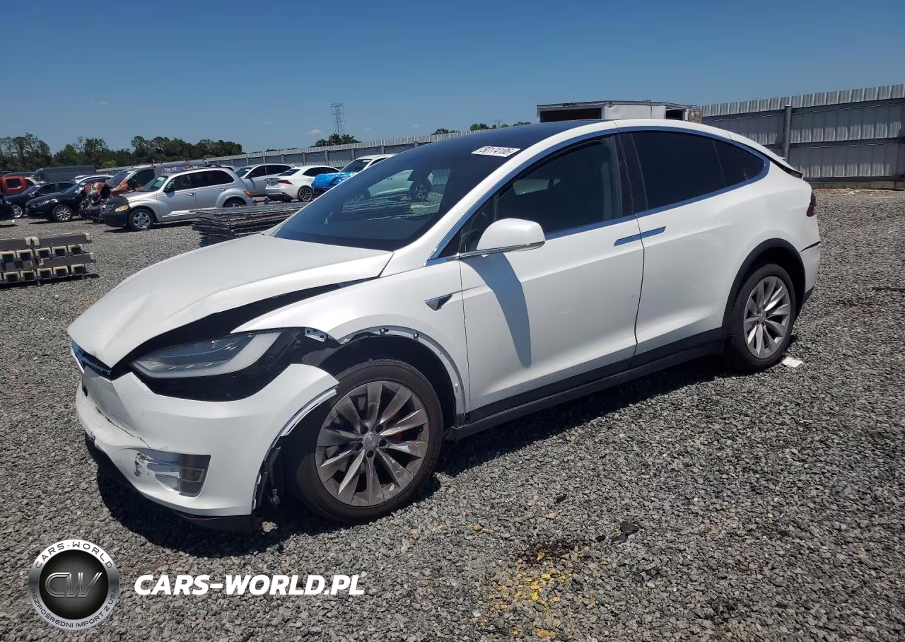 2019 Tesla Model X
