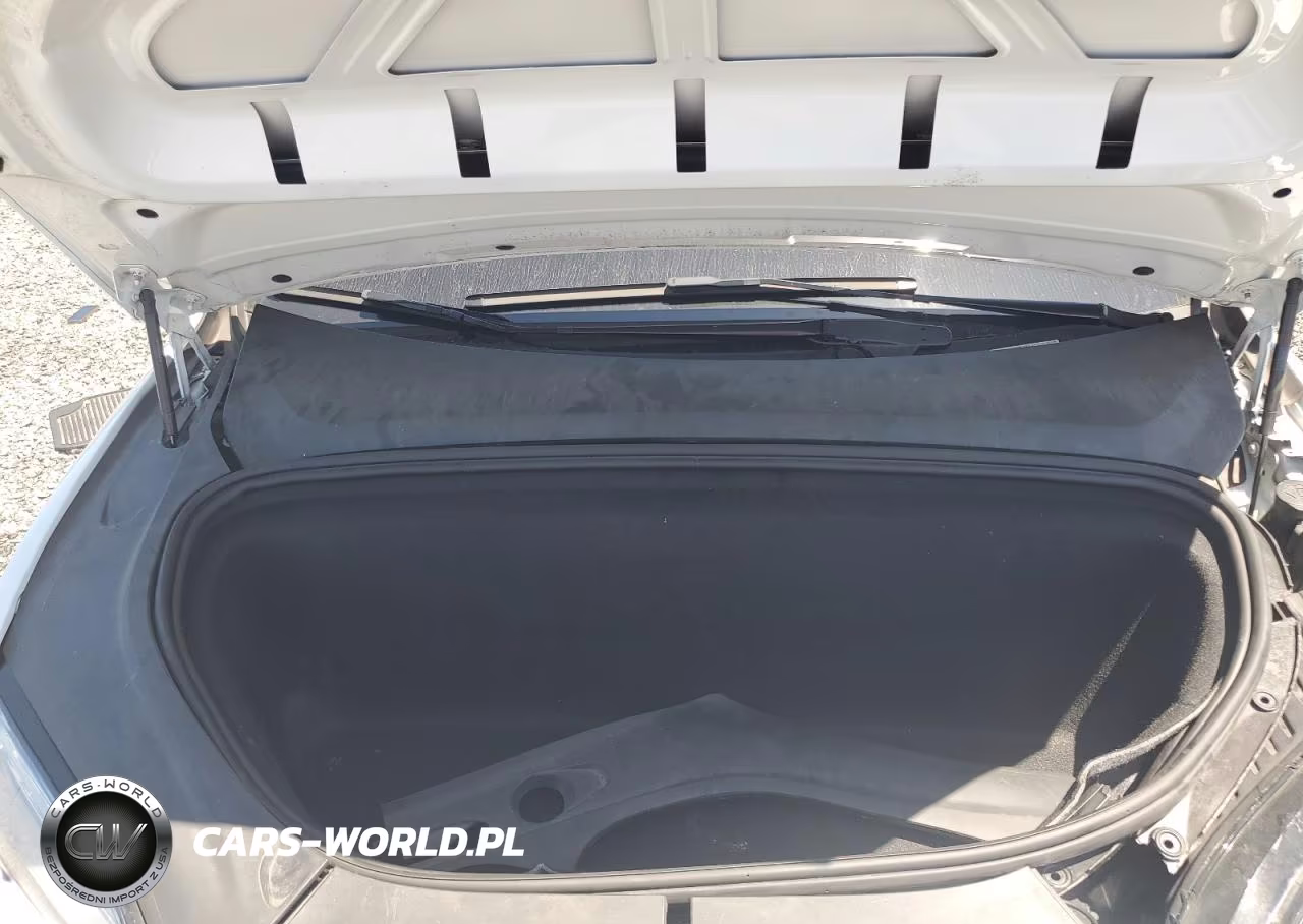 2019 Tesla Model X VIN:5YJXCAE47KF189516 - 12