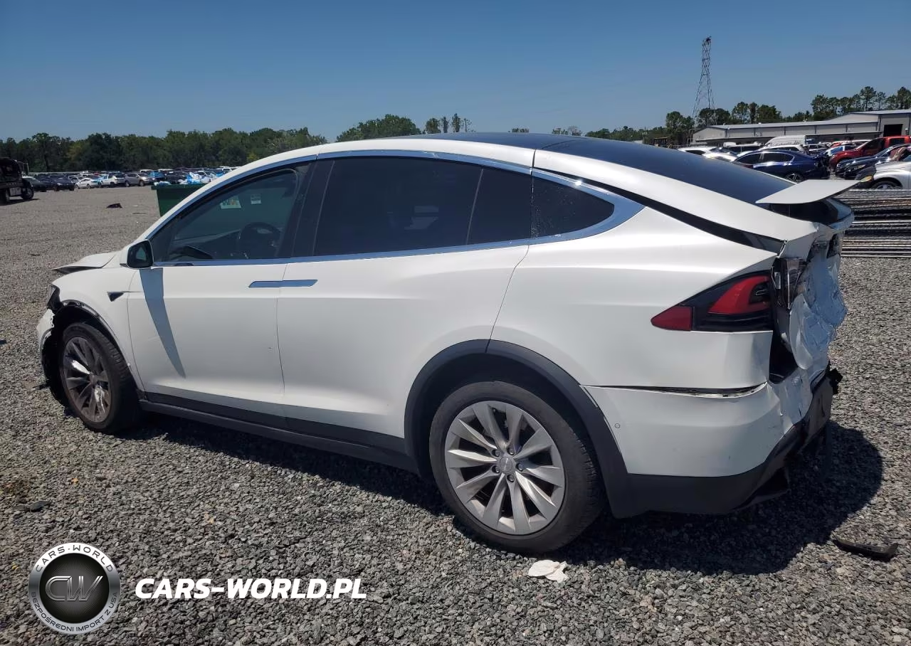 2019 Tesla Model X VIN:5YJXCAE47KF189516 - 2