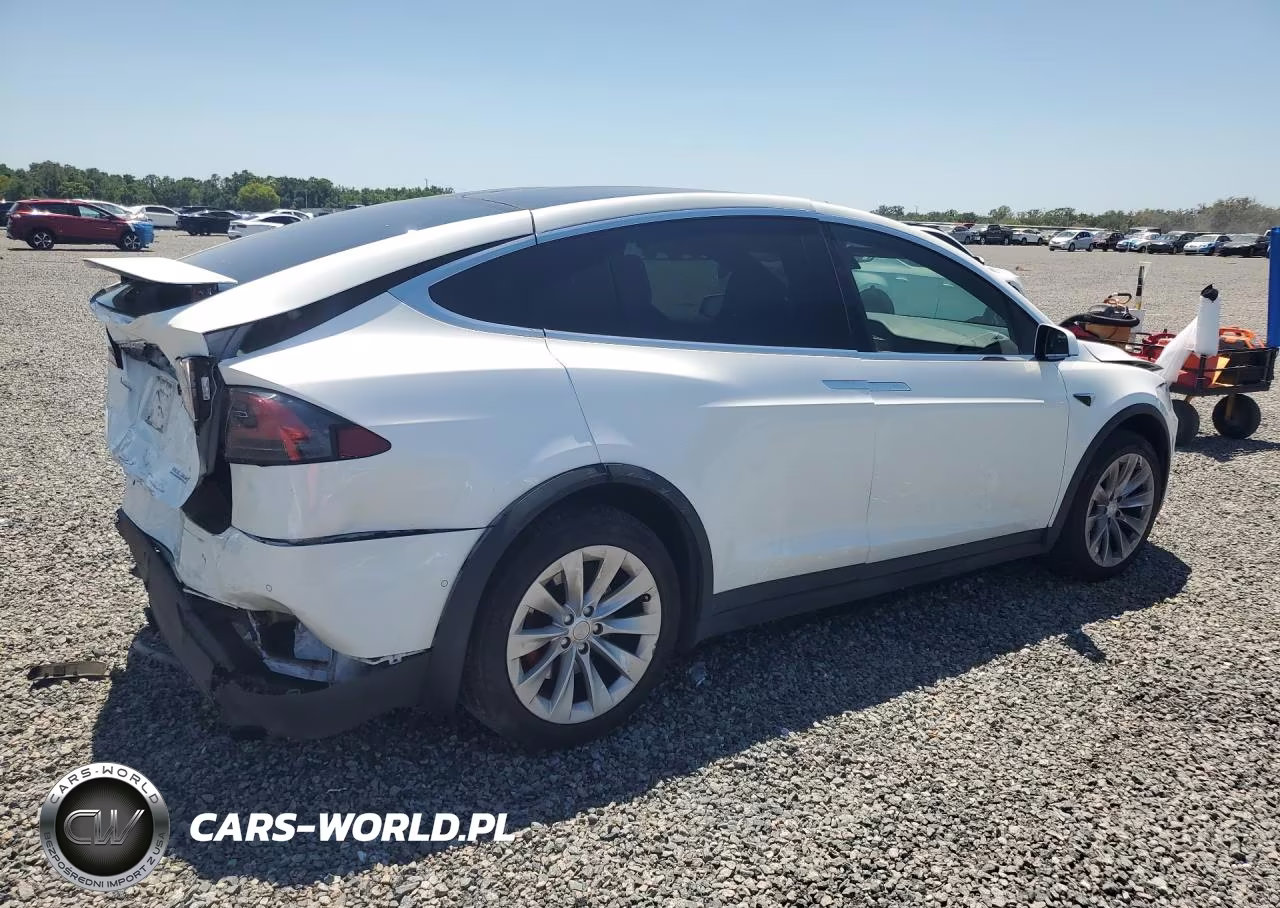 2019 Tesla Model X VIN:5YJXCAE47KF189516 - 3