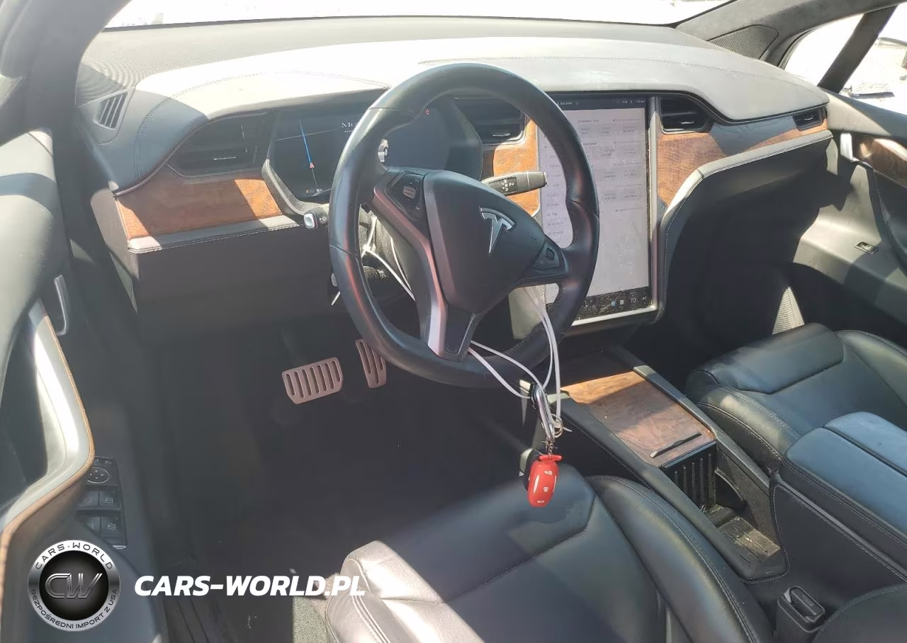 2019 Tesla Model X VIN:5YJXCAE47KF189516 - 8