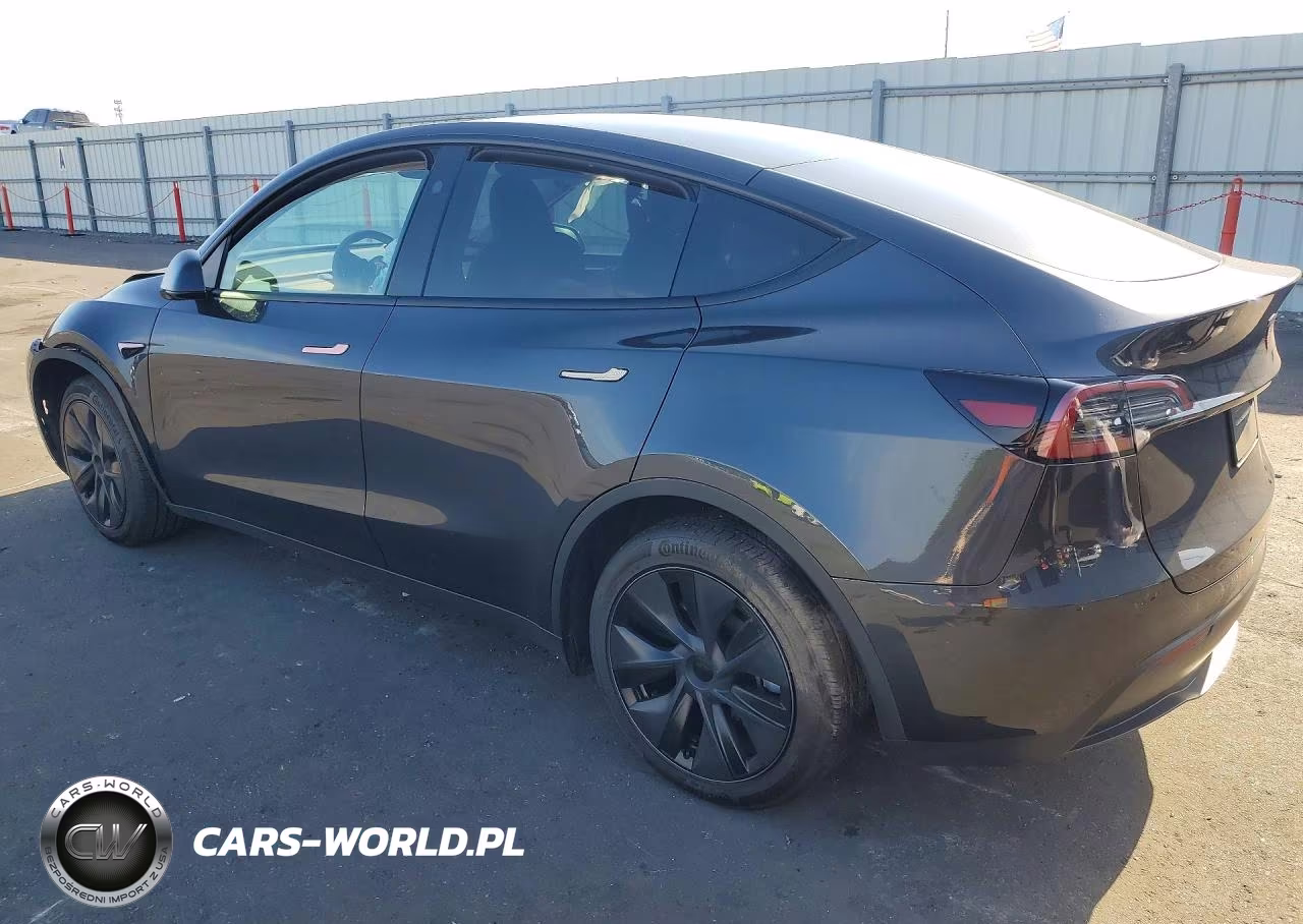 2025 Tesla Model Y VIN:7SAYGDED8SF241748 - 2