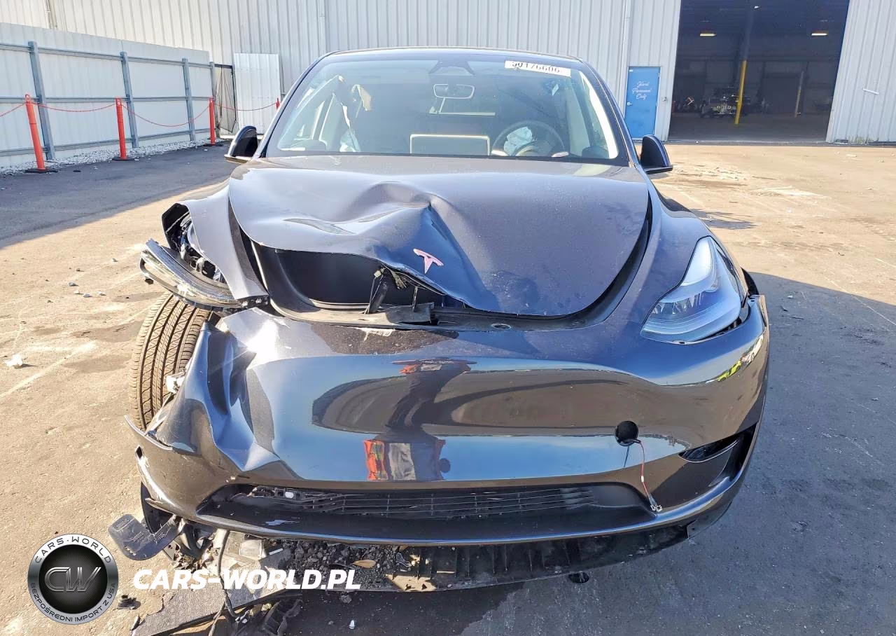 2025 Tesla Model Y VIN:7SAYGDED8SF241748 - 5