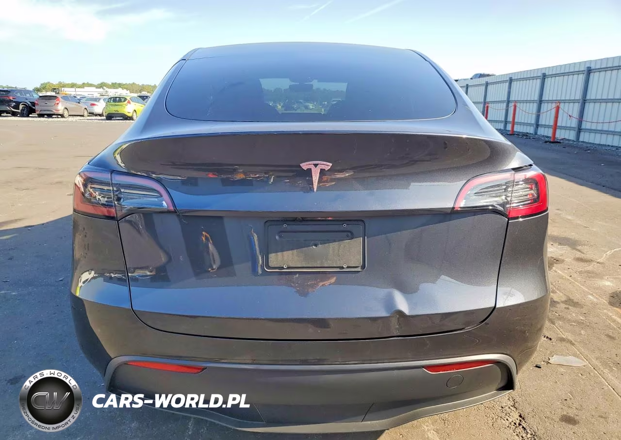 2025 Tesla Model Y VIN:7SAYGDED8SF241748 - 6