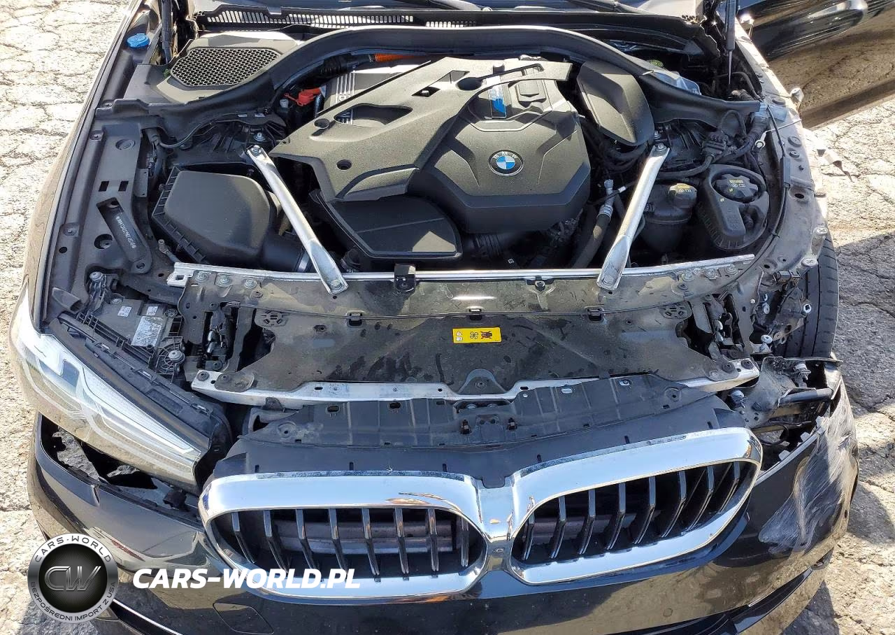 2021 BMW 530E VIN:WBA13AG02MCF46245 - 11