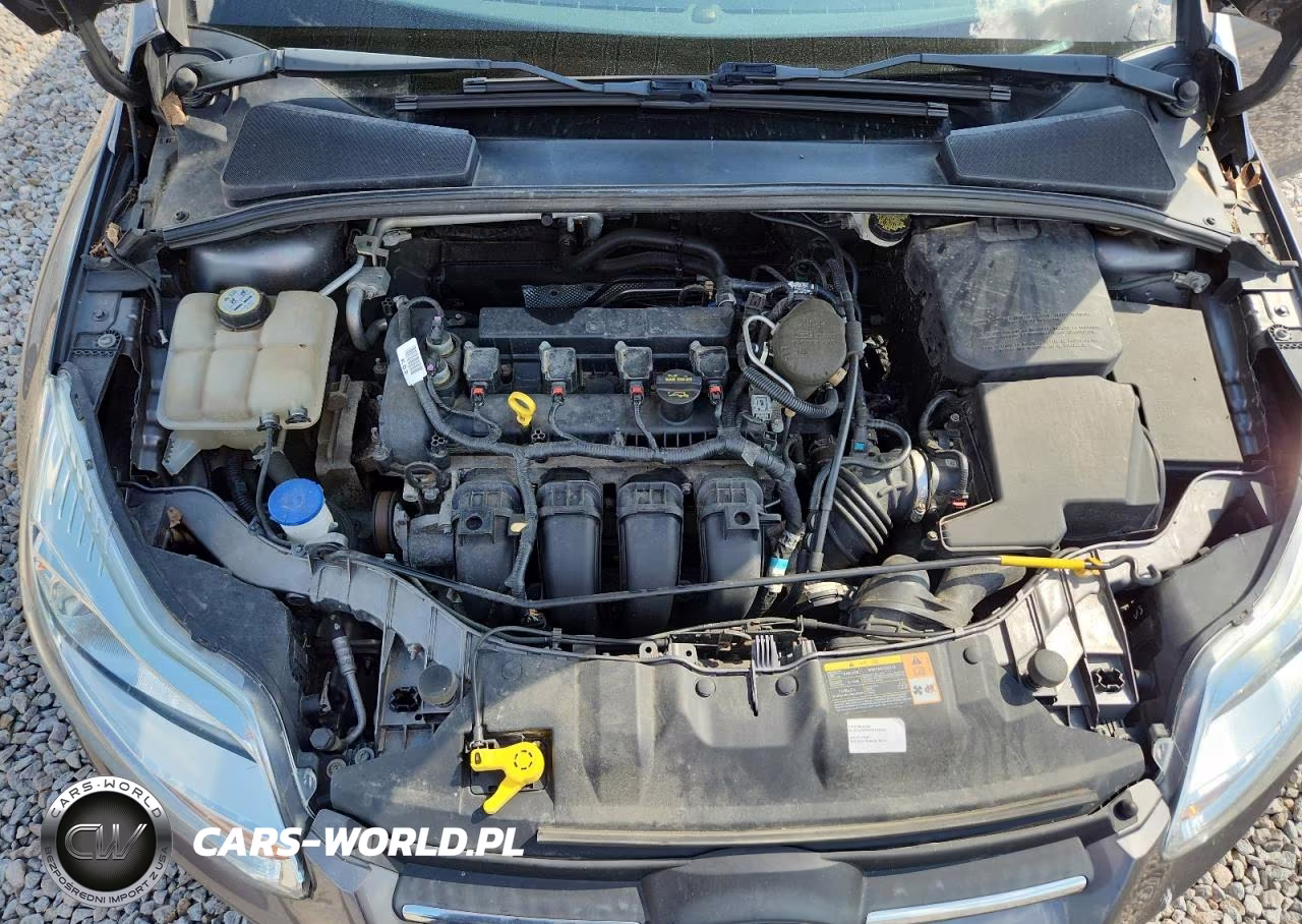 2013 Ford Focus Se VIN:1FADP3F29DL312030 - 11