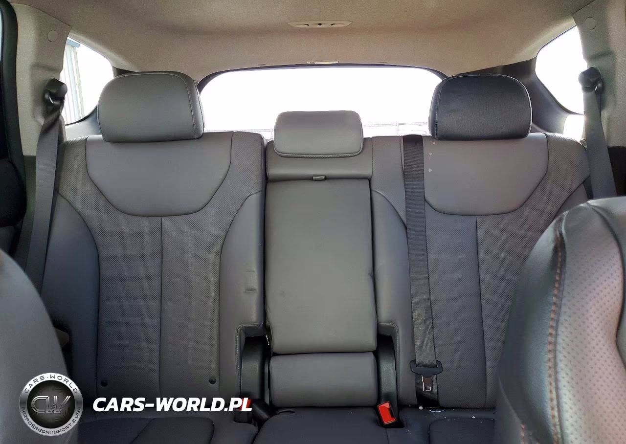 2019 Hyundai Santa Fe Ultimate 2.4L VIN:5NMS5CAD4KH029713 - 10