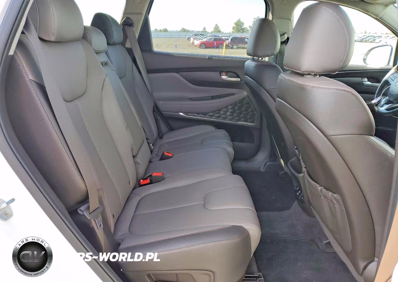 2019 Hyundai Santa Fe Ultimate 2.4L VIN:5NMS5CAD4KH029713 - 11