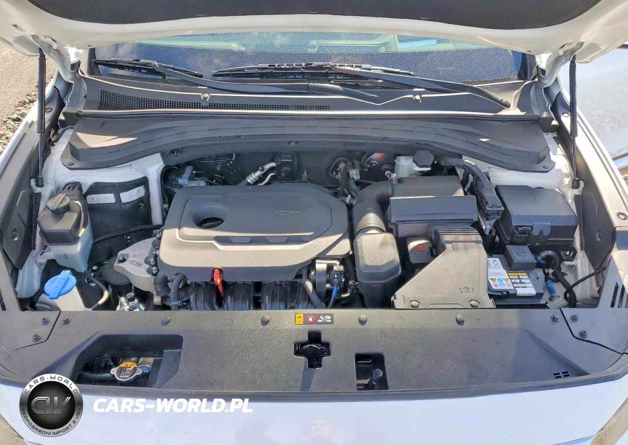 2019 Hyundai Santa Fe Ultimate 2.4L VIN:5NMS5CAD4KH029713 - 12