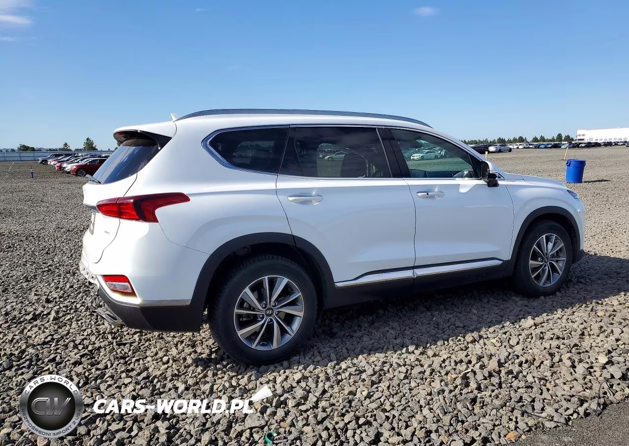 2019 Hyundai Santa Fe Ultimate 2.4L VIN:5NMS5CAD4KH029713 - 3