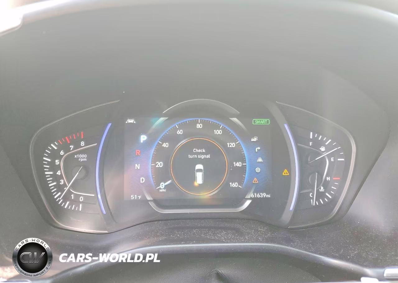 2019 Hyundai Santa Fe Ultimate 2.4L VIN:5NMS5CAD4KH029713 - 9