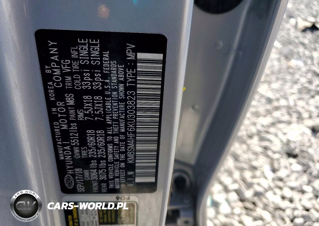 2019 Hyundai Santa Fe Xl Se VIN:KM8SM4HF6KU303823 - 13
