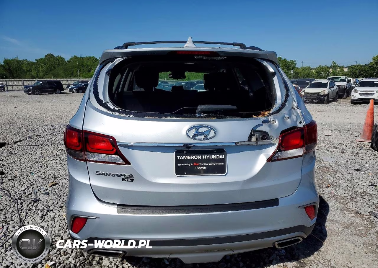 2019 Hyundai Santa Fe Xl Se VIN:KM8SM4HF6KU303823 - 6