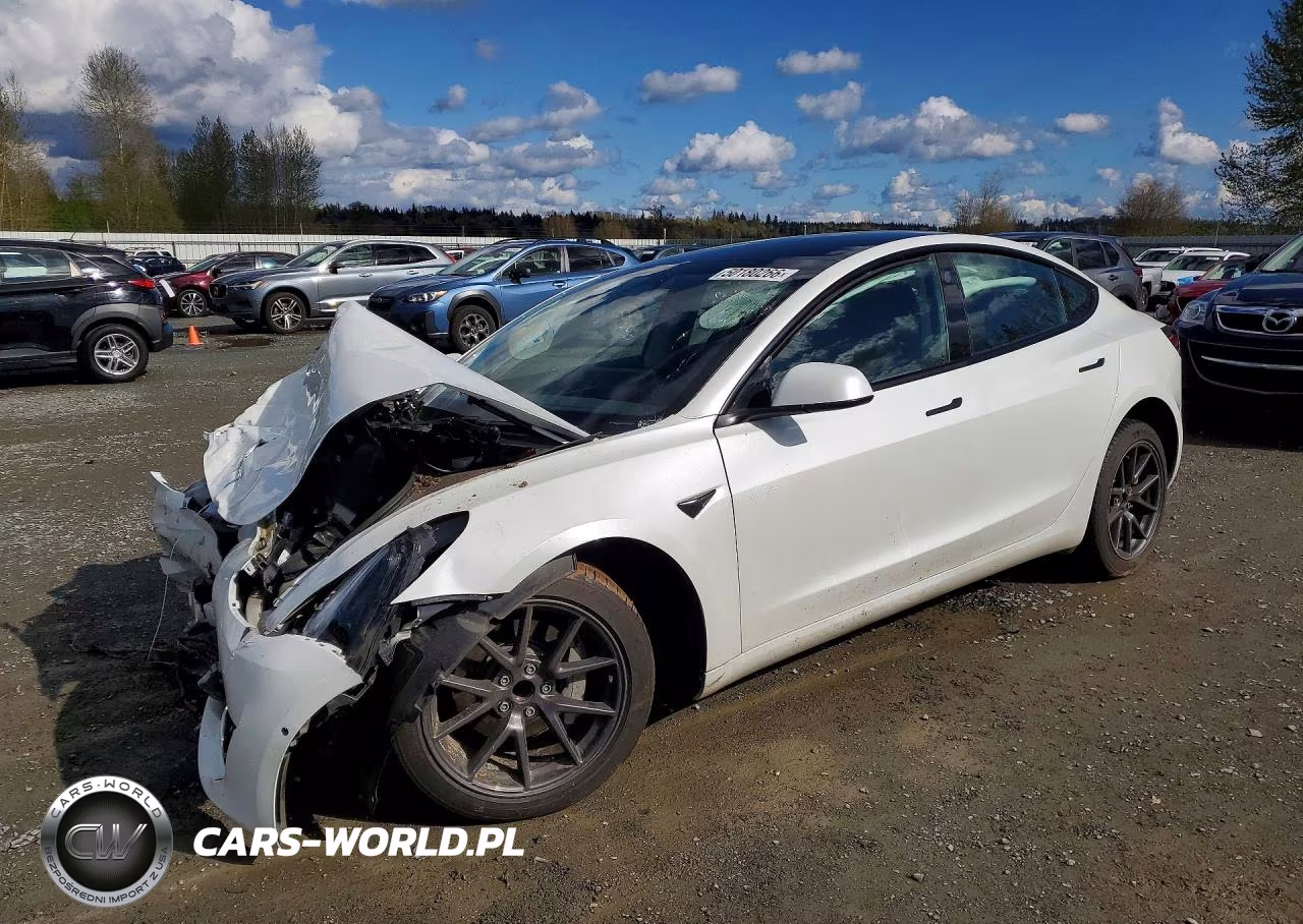 2021 Tesla Model 3 – zdjęcie 1 z 13