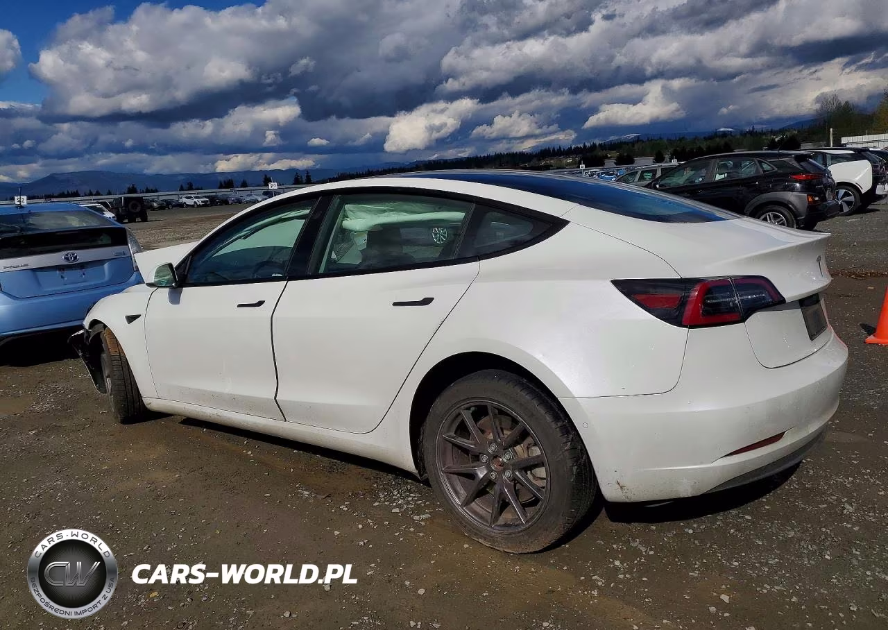 2021 Tesla Model 3 VIN:5YJ3E1EAXMF053138 - 2
