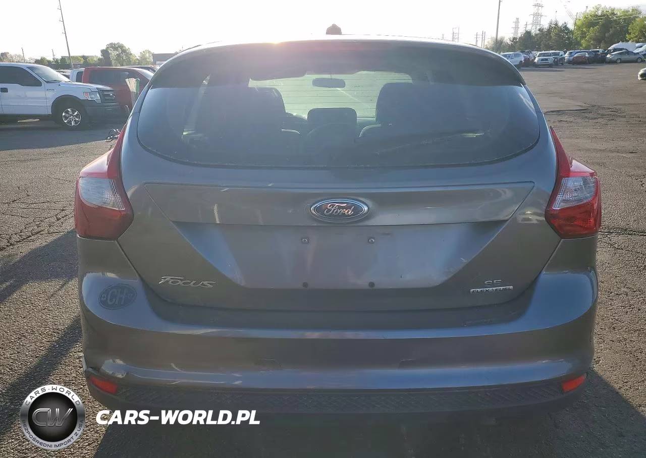 2014 Ford Focus Se VIN:1FADP3K20EL281483 - 6