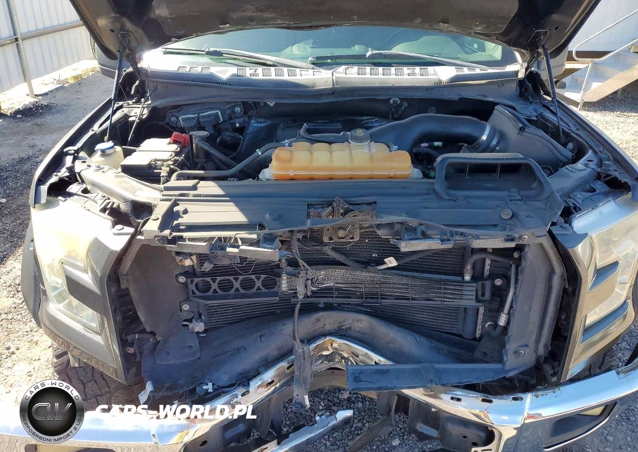 2015 Ford F150 Supercrew VIN:1FTEW1CP9FKE22509 - 11