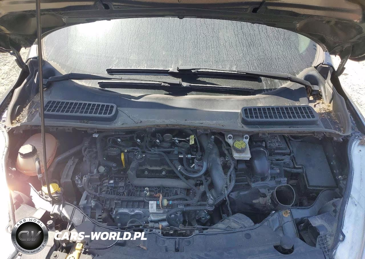 2019 Ford Escape Se VIN:1FMCU0GD3KUB62674 - 12